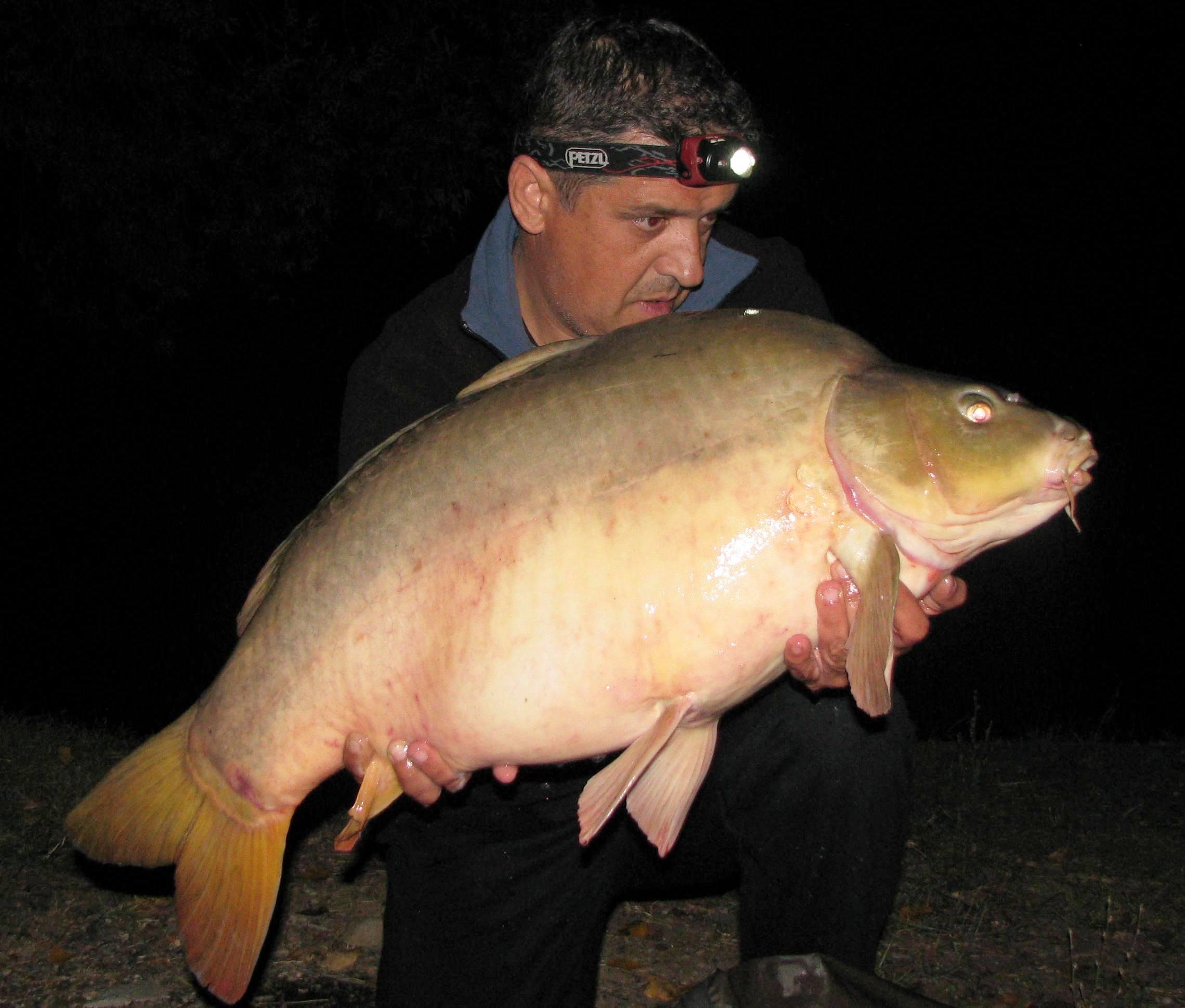 septembrie - octombrie 2012 - IMG_5258.JPG